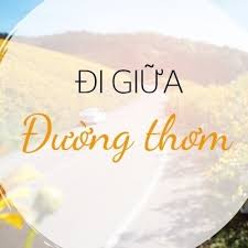 Banner cho bài viết:Đọc hiểu bài thơ Đi Giữa Đường Thơm - Huy Cận