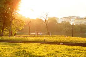 Banner cho bài viết:Bài văn nghị luận so sánh Hai Đoạn Thơ - Chiều Thu (Tế Hanh) và Chiều Thu (Anh Thơ)