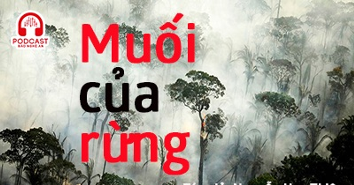 Banner cho bài viết:Đọc truyện ngắn Muối Của Rừng - Nguyễn Huy Thiệp