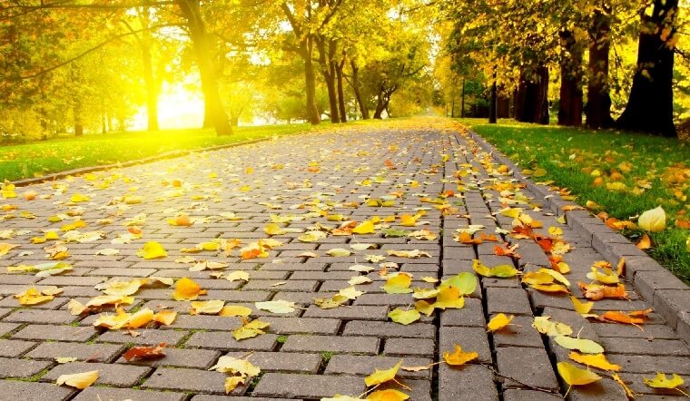 Banner cho bài viết:Tuyển tập thơ hay về Mùa Thu