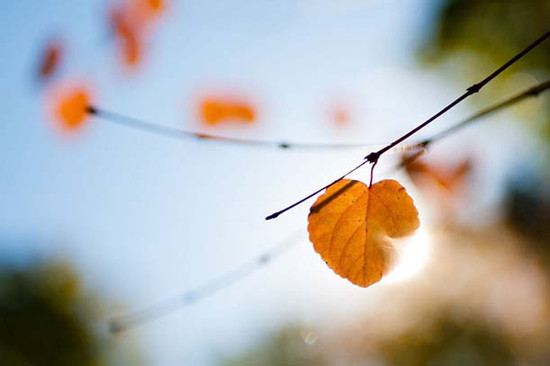 Banner cho bài viết:Nhà thơ Tố Hữu nhận định: Thơ là tiếng nói hồn nhiên nhất của tâm hồn