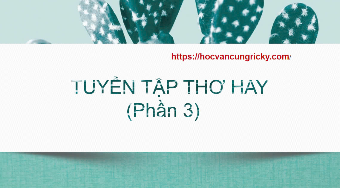 Banner cho bài viết:Tuyển tập Thơ hay phần 3 - Người Dệt Tầm Gai - Vi Thùy Linh