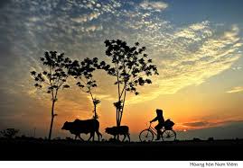 Banner cho bài viết:Đọc hiểu bài thơ Quê Hương - Giang Nam