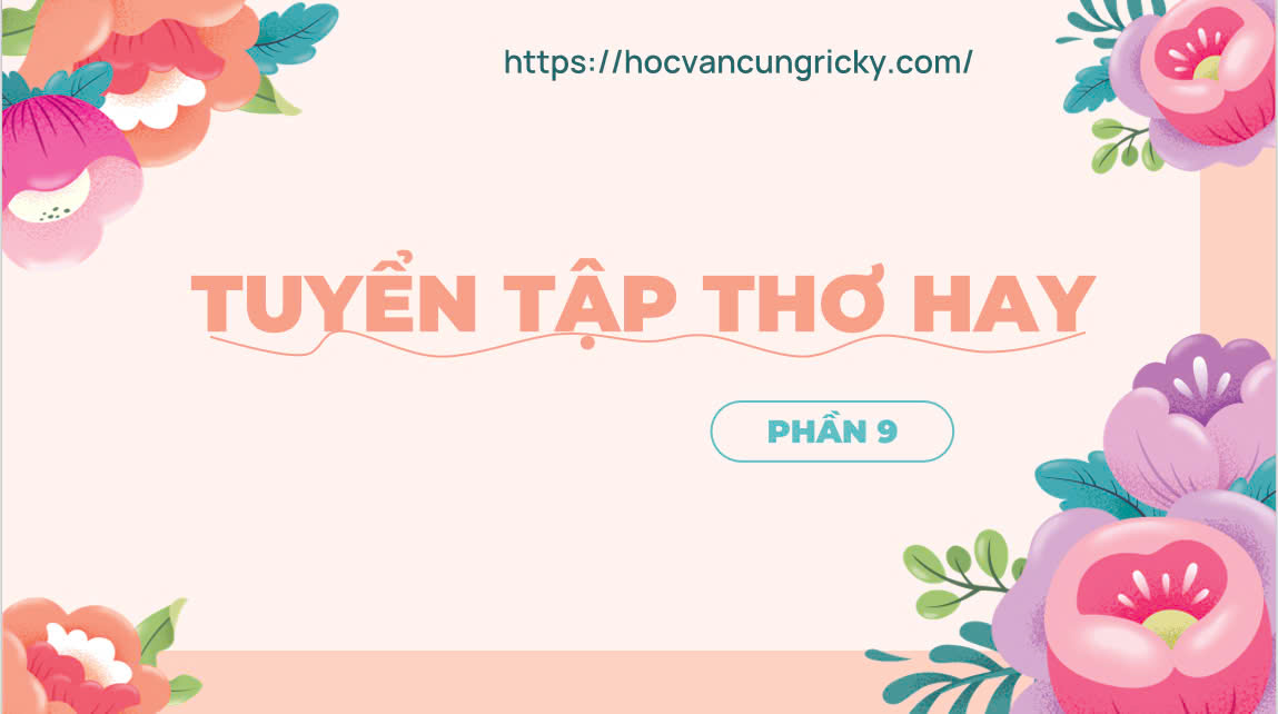 Banner cho bài viết:Bài thơ Tìm Xuân - Nguyễn Thị Hồng Ngát