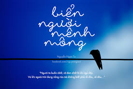 Banner cho bài viết:Đề đọc hiểu truyện ngắn Biển Người Mênh Mông - Nguyễn Ngọc Tư