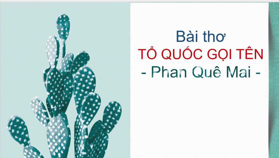 Banner cho bài viết:Đọc bài thơ Tổ Quốc Gọi Tên - Nguyễn Phan Quế Mai