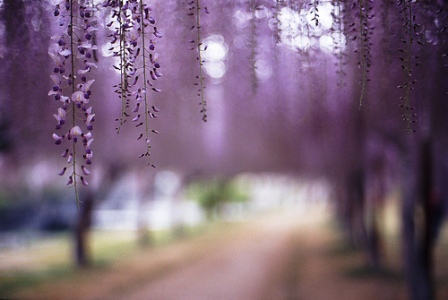 Banner cho bài viết:Đọc hiểu yếu tố tượng trưng trong bài thơ Màu Thời Gian - Đoàn Phú Tứ