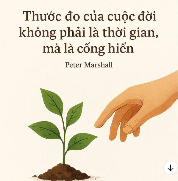 Banner cho bài viết:Bài luận Thước đo của cuộc đời không phải thời gian mà là cống hiến