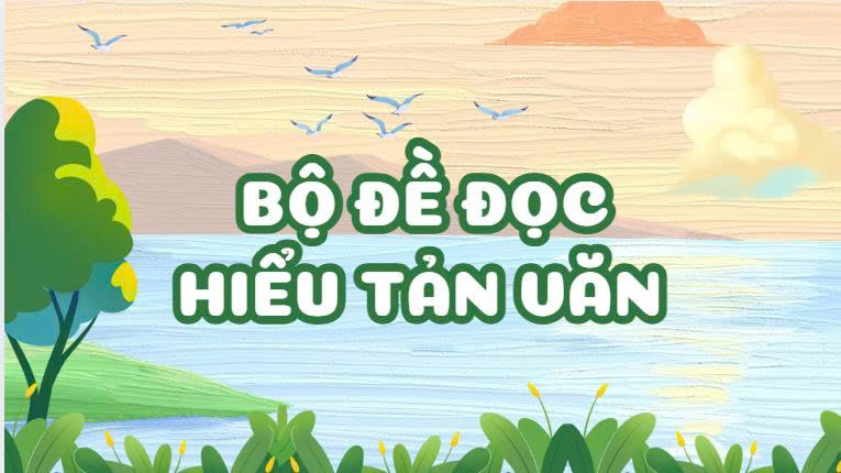 Banner cho bài viết:Bộ đề đọc hiểu Tản văn Ngữ văn 11