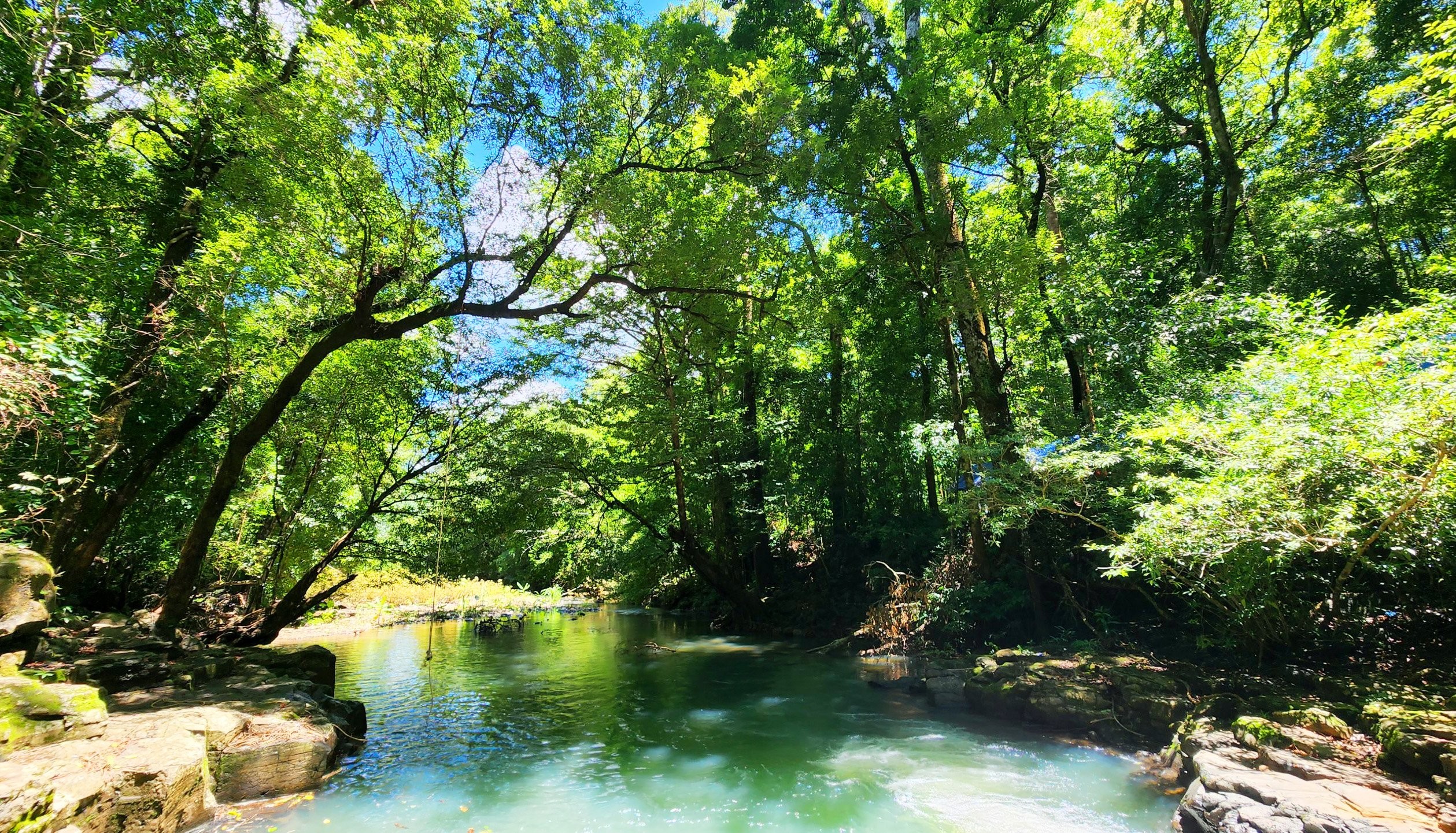 Banner cho bài viết:Đọc hiểu tản văn Xôn Xao Hương Rừng - Đào An Duyên