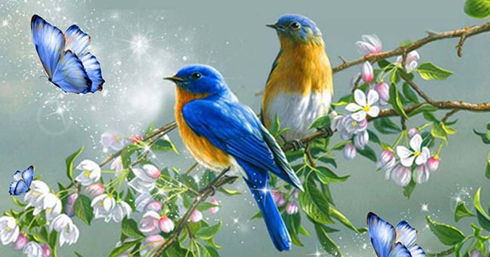 Banner cho bài viết:Bài Giảng Thơ Duyên