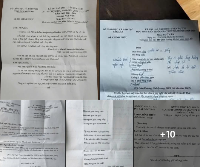 Banner cho bài viết:Tổng hợp đề tuyển chọn học sinh giỏi Quốc Gia môn Ngữ Văn 2024-2025