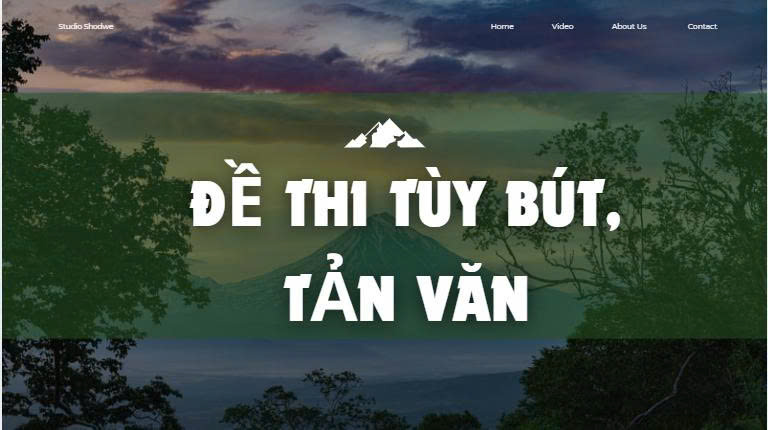 Banner cho bài viết:Bộ đề thi giữa kì đọc hiểu tùy bút, tản văn 2025